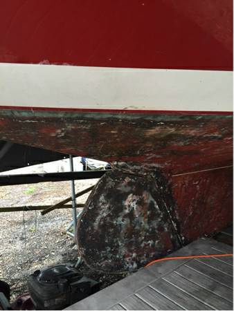 Free sailboat runner view