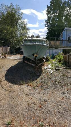 seabird boat bow view