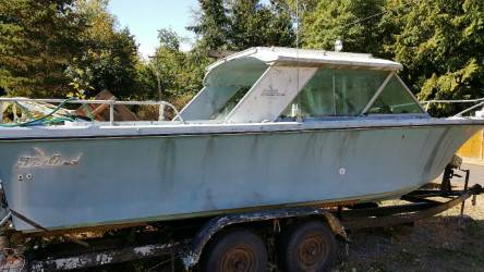 Seabird on trailer