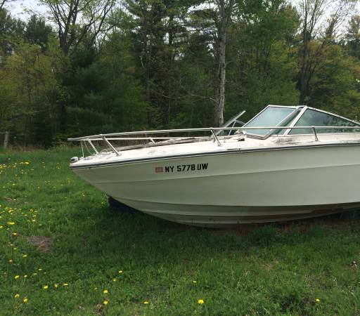 Powerboat and lower unit