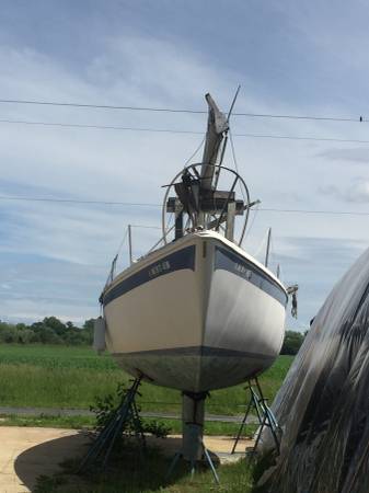 Cal 29 Bow