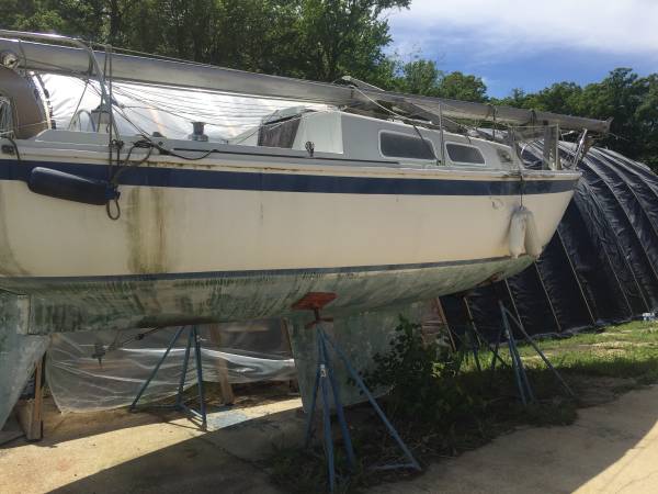 Cal 29 Starbird