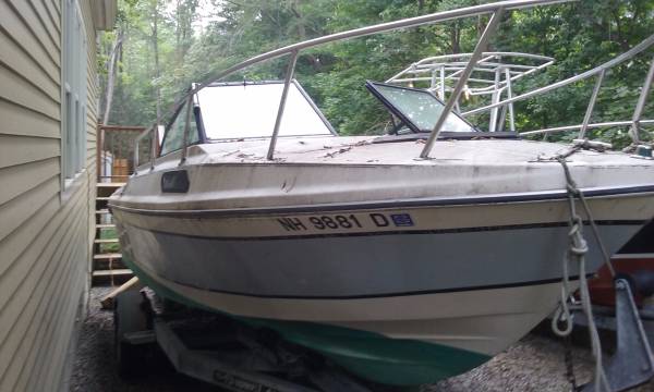Cuddy Cabin starbird side