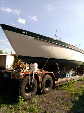 37 Irwin Bow