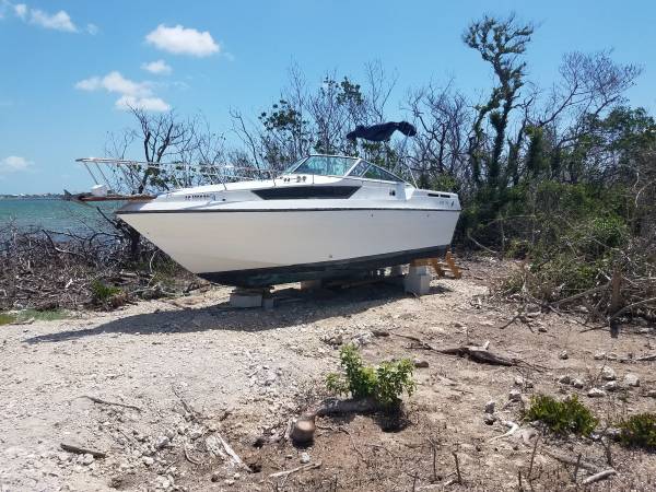 1987 Century 255 Mirada