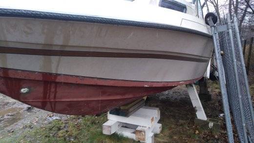 1984 Cobia Odyssey 195 - 19 1/2' cuddy cabin hull condition