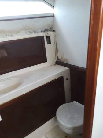 1973 26 Ft Searay Pacemaker head