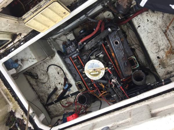 2455 Bayliner engine view